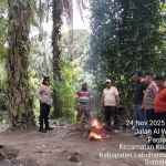 Gerebek Narkoba Polsek Kualuh di Desa Sidua-dua, Temukan Barang Bukti