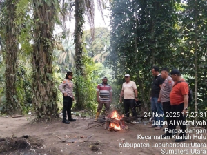 Gerebek Narkoba Polsek Kualuh di Desa Sidua-dua, Temukan Barang Bukti