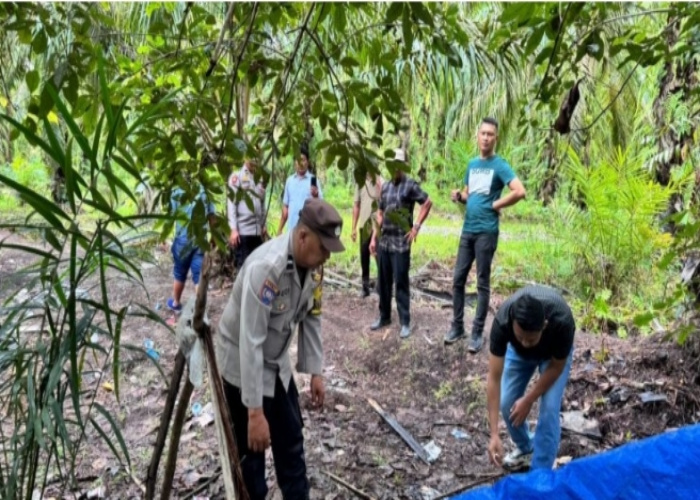 Gerebek Narkoba Bilah Hilir, Polisi Amankan dan Telusuri Jaringan