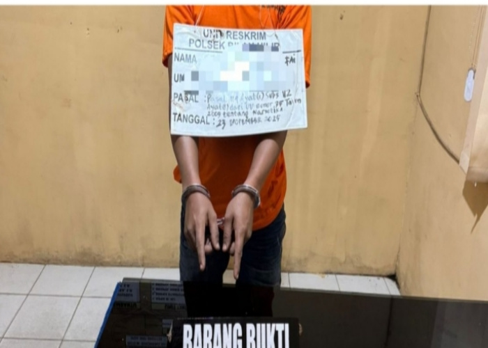 Pengedar Sabu Bilah Hilir Ditangkap di Perkebunan Sawit